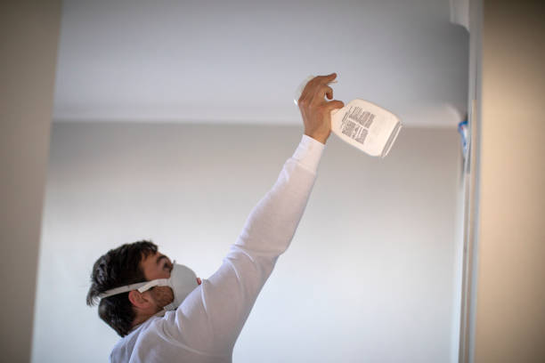 Best Mold Testing and Inspection Services in Northchase, NC